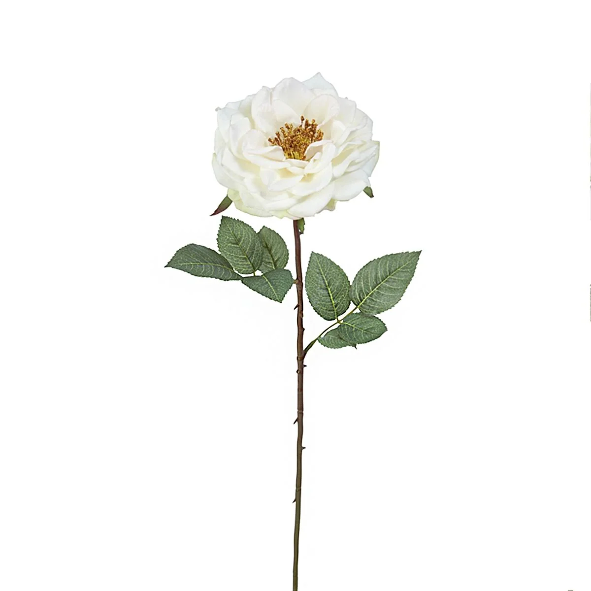 Tige de Rose Sophie ouverte - Image 4