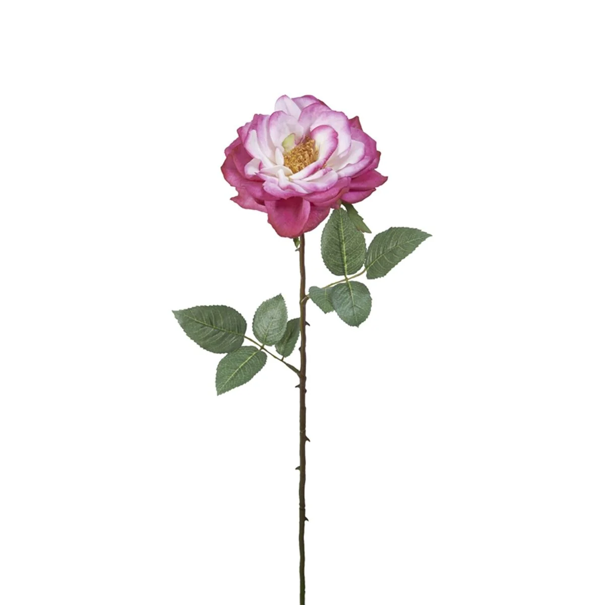 Tige de Rose Sophie ouverte - Image 6