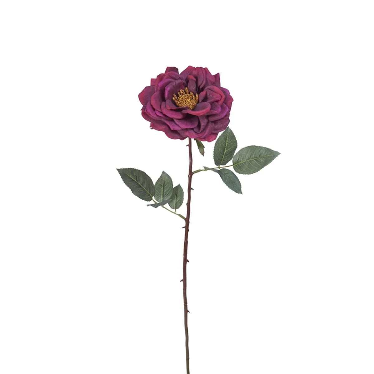 Tige de Rose Sophie ouverte - Image 8