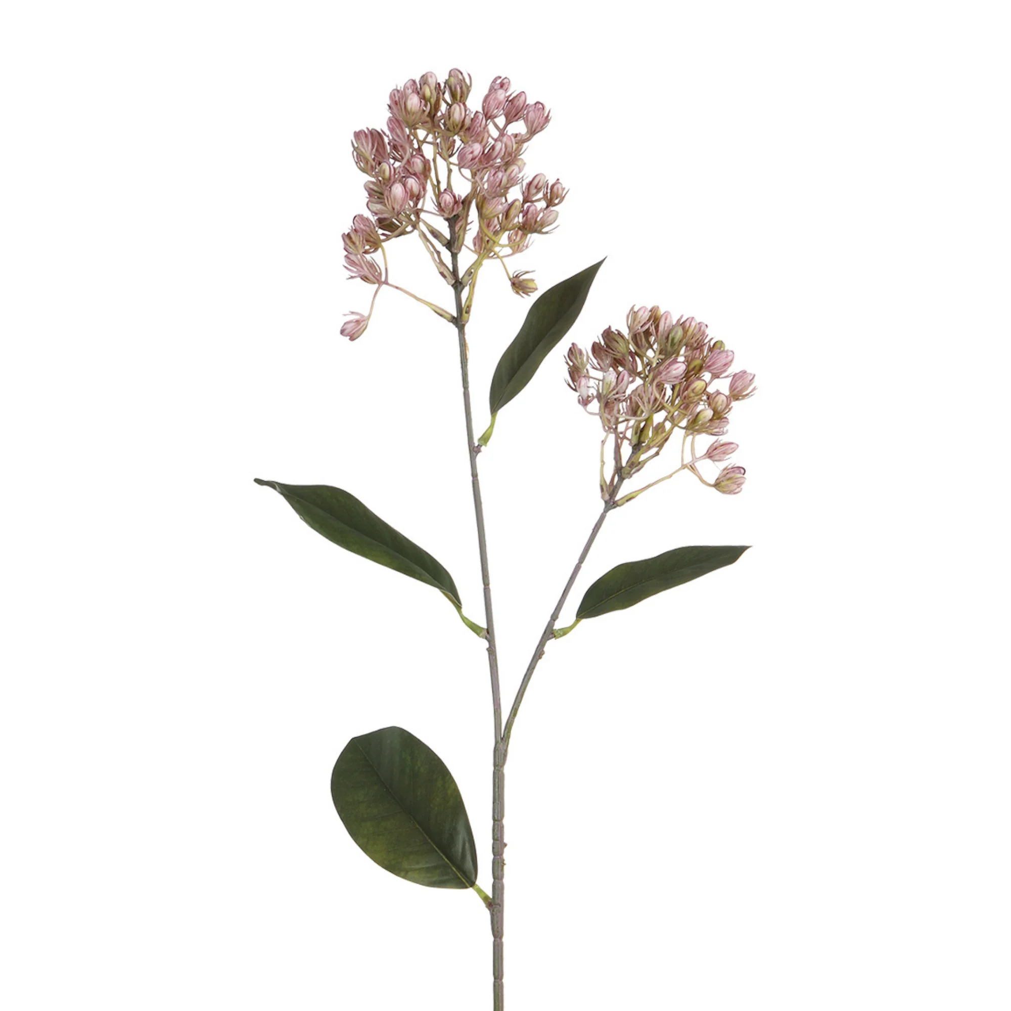 Tige de Sedum 80 cm - Image 4