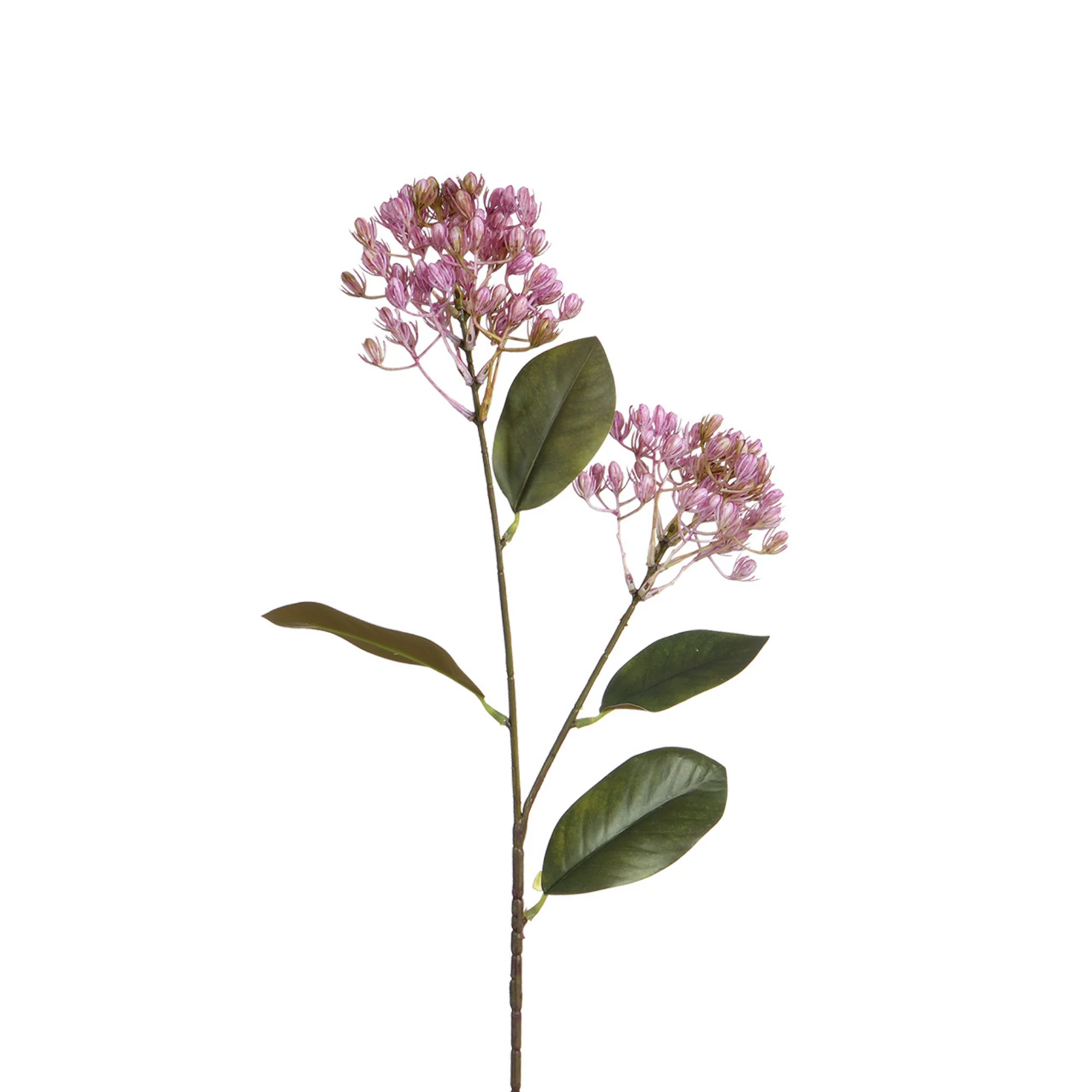 Tige de Sedum 80 cm - Image 7