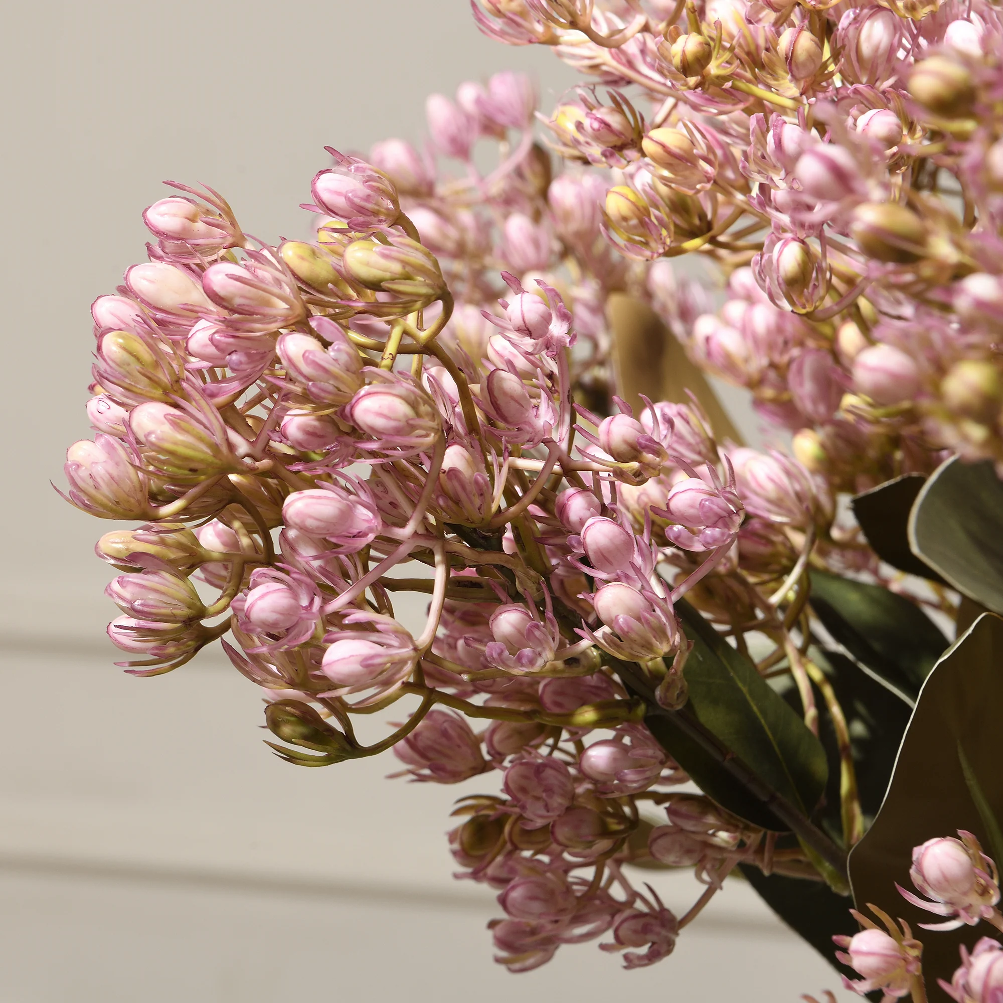 Tige de Sedum 80 cm - Image 9