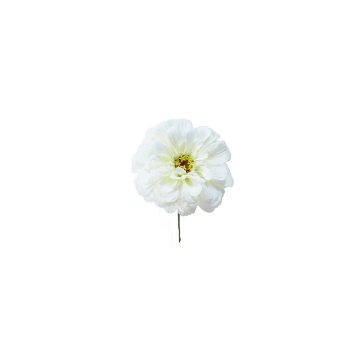 Tige de Zinnia à piquer