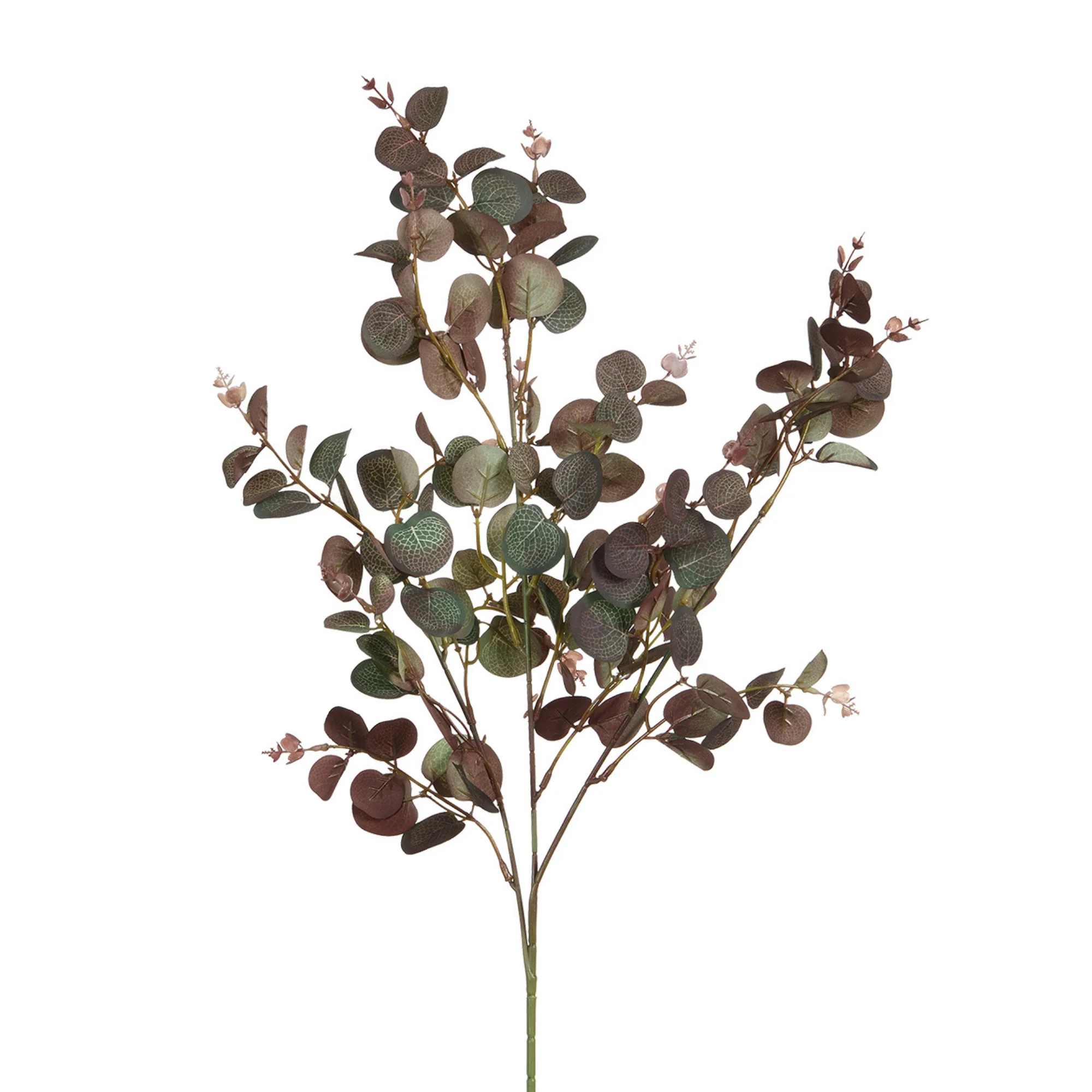 Feuillage Eucalyptus 80 cm - Image 10