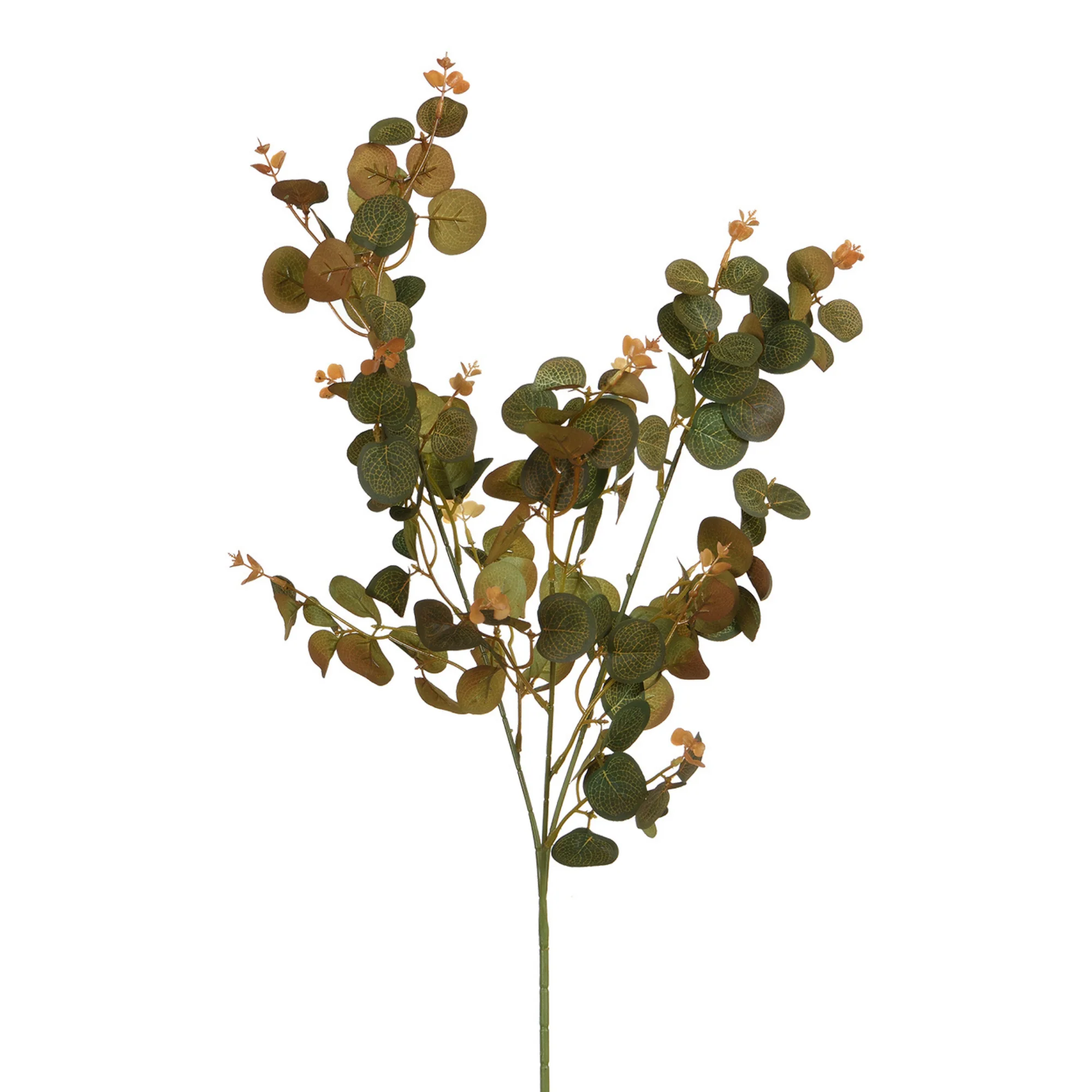 Feuillage Eucalyptus 80 cm - Image 4