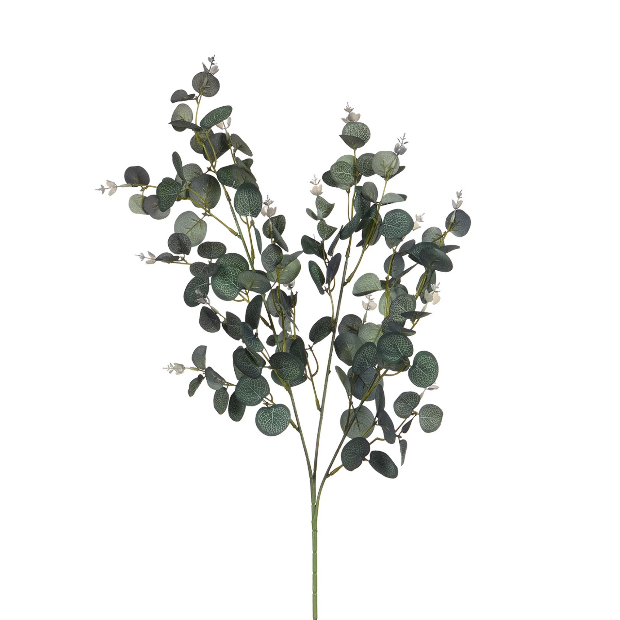 Feuillage Eucalyptus 80 cm - Image 7