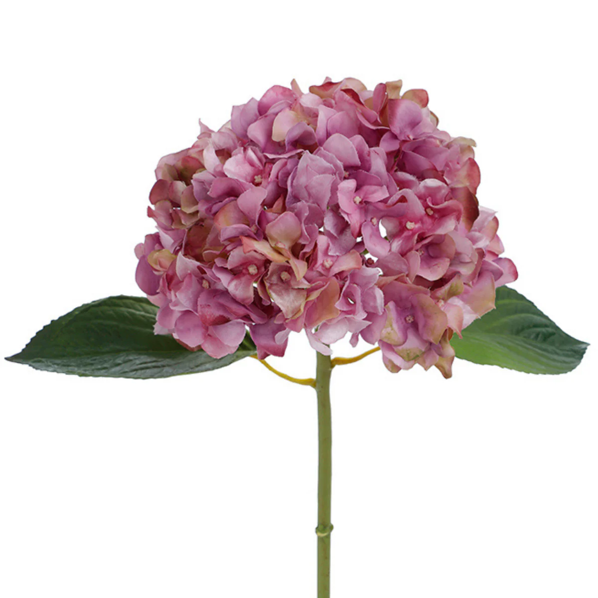 Tige d'Hortensia avec feuilles Premium 45cm - Image 13
