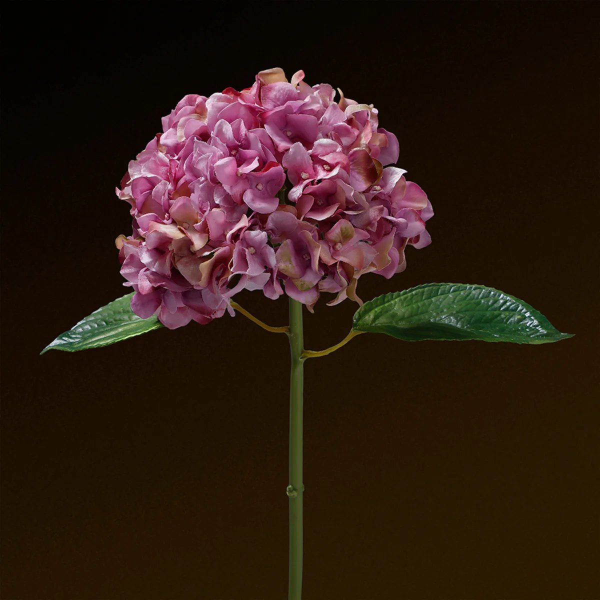 Tige d'Hortensia avec feuilles Premium 45cm - Image 14