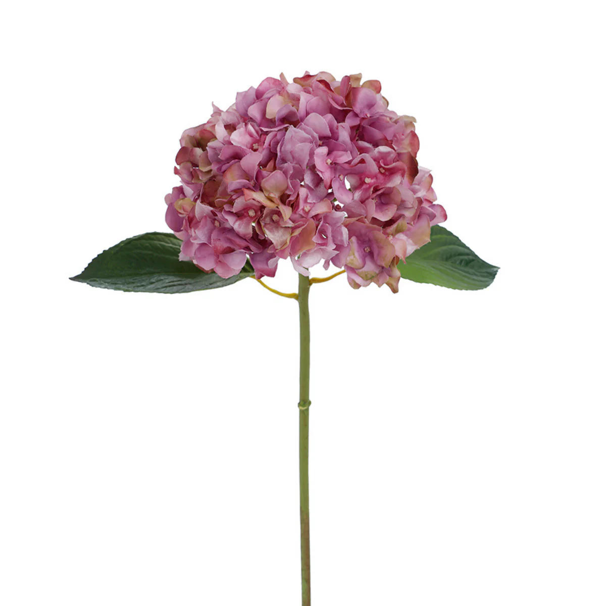 Tige d'Hortensia avec feuilles Premium 45cm - Image 16