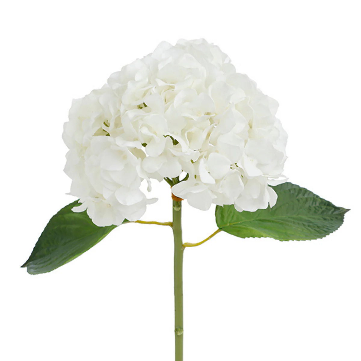 Tige d'Hortensia avec feuilles Premium 45cm - Image 17