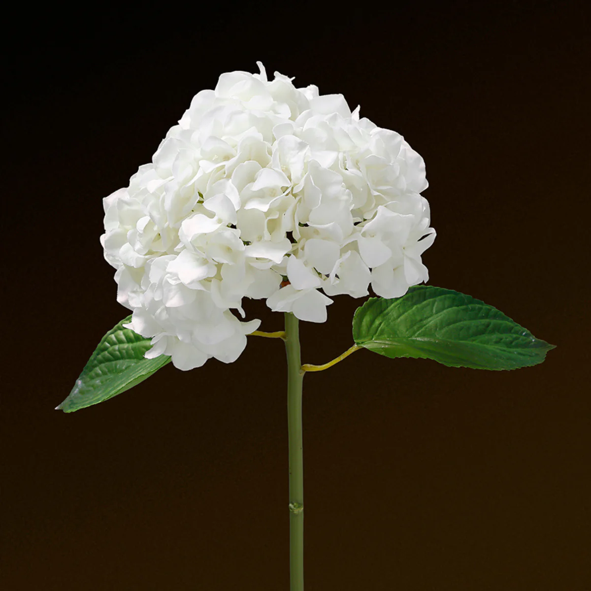 Tige d'Hortensia avec feuilles Premium 45cm - Image 18