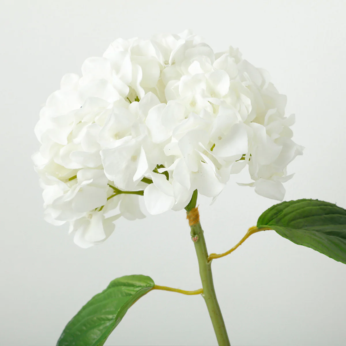 Tige d'Hortensia avec feuilles Premium 45cm - Image 19