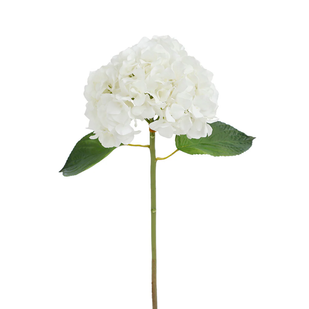 Tige d'Hortensia avec feuilles Premium 45cm - Image 20