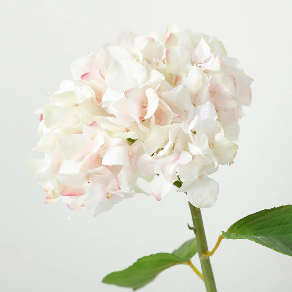Tige d'Hortensia avec feuilles Premium 45cm - Image 3
