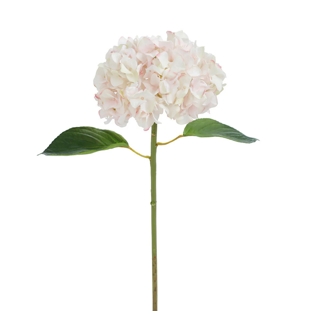 Tige d'Hortensia avec feuilles Premium 45cm - Image 4