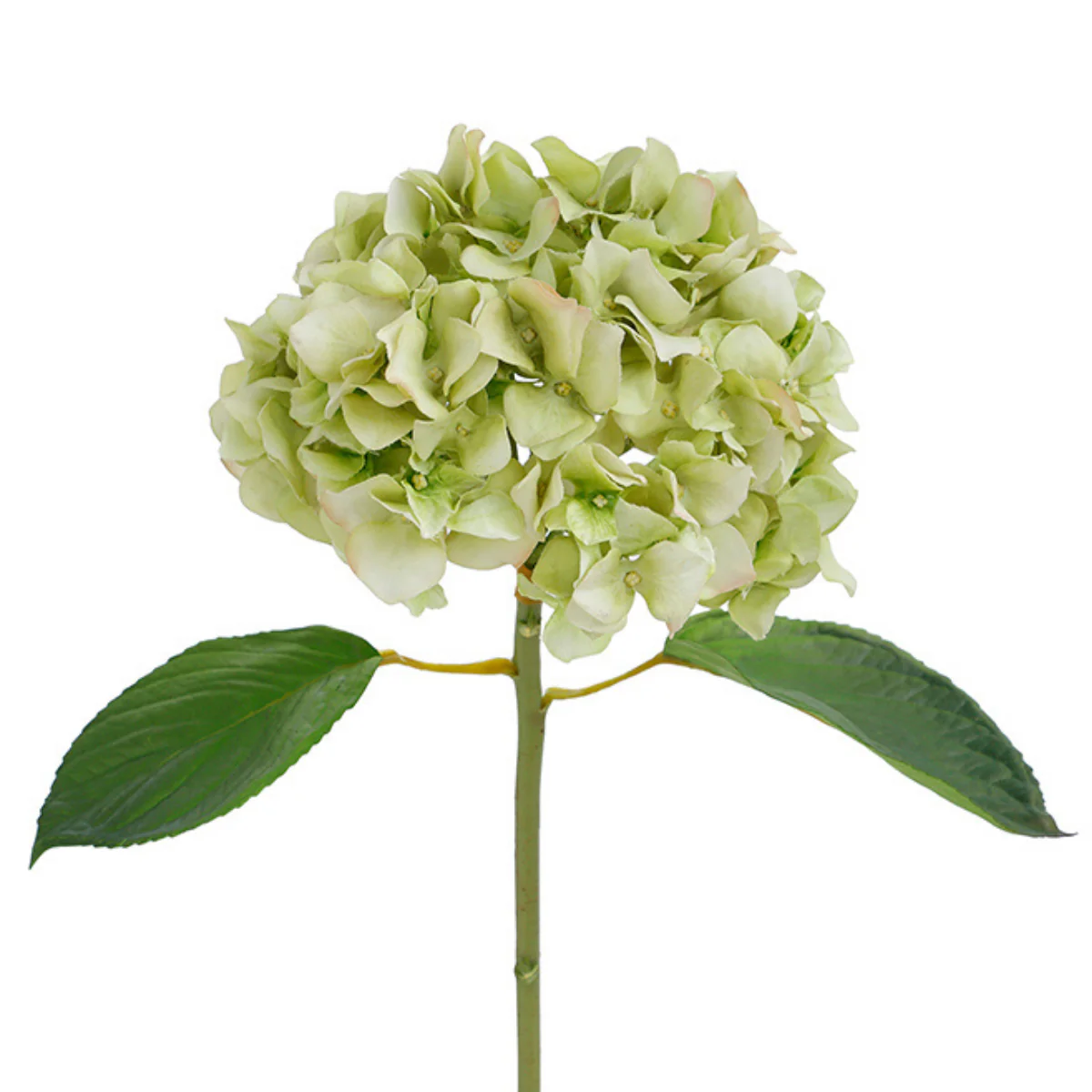 Tige d'Hortensia avec feuilles Premium 45cm - Image 5