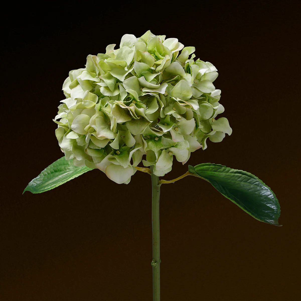 Tige d'Hortensia avec feuilles Premium 45cm - Image 6