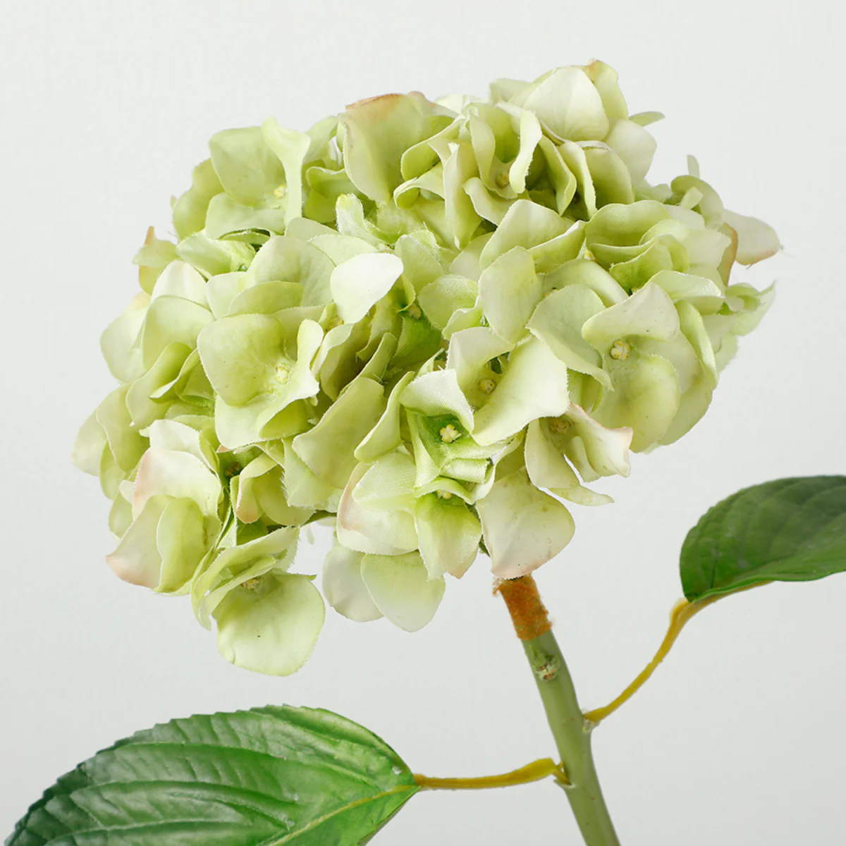 Tige d'Hortensia avec feuilles Premium 45cm - Image 7