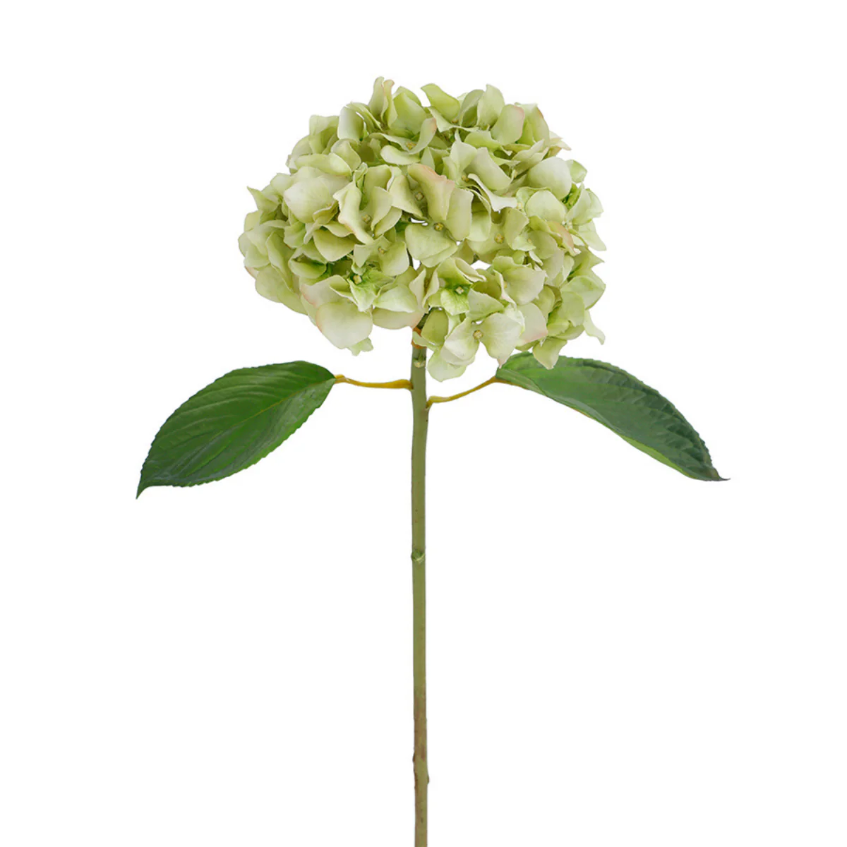 Tige d'Hortensia avec feuilles Premium 45cm - Image 8