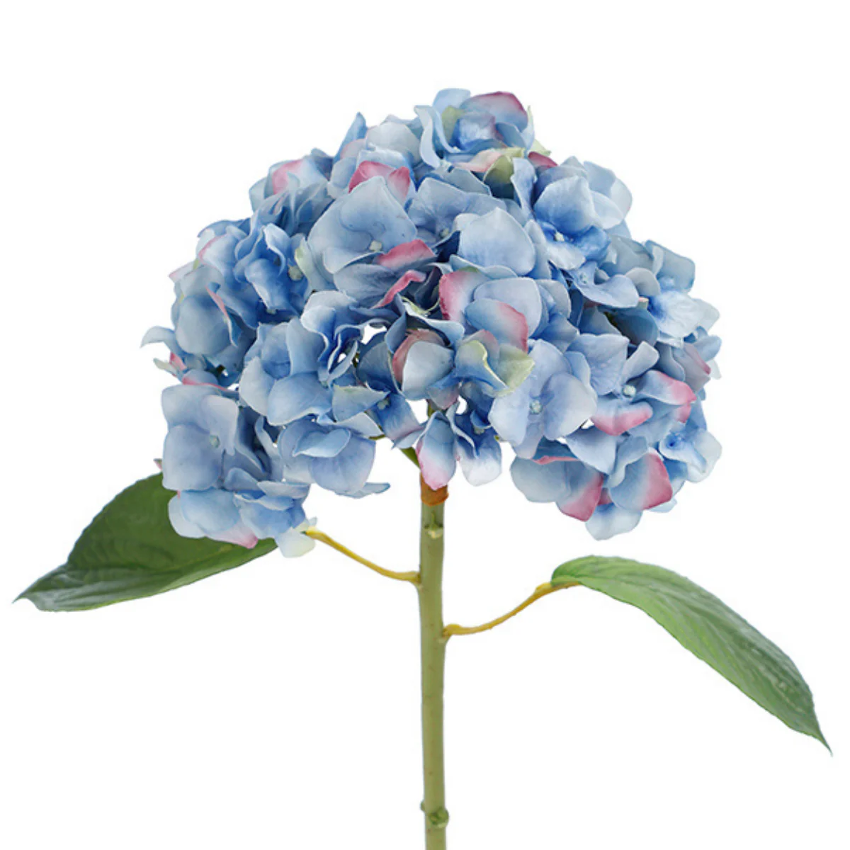 Tige d'Hortensia avec feuilles Premium 45cm - Image 9