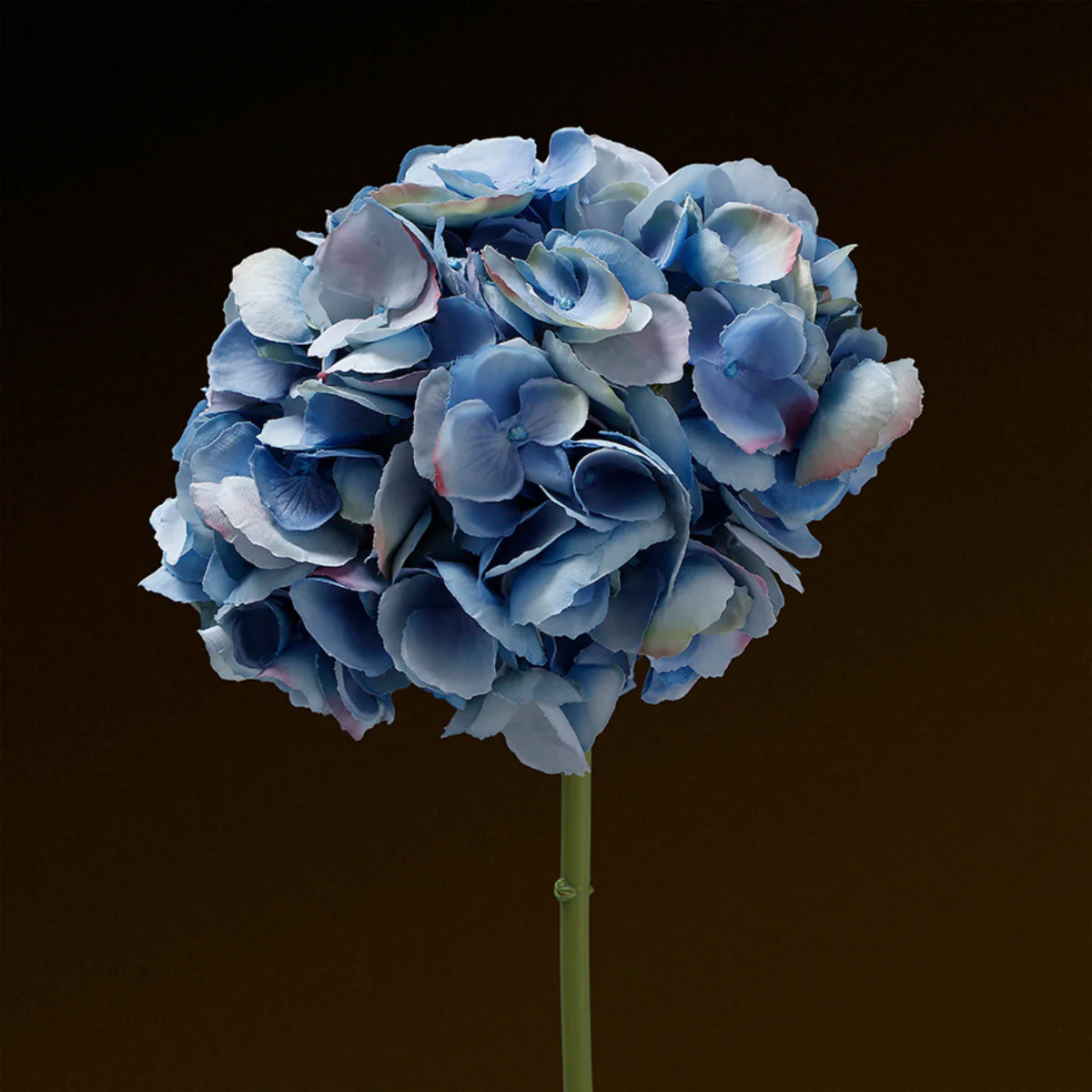 Tige d'Hortensia Premium 48cm - Image 11