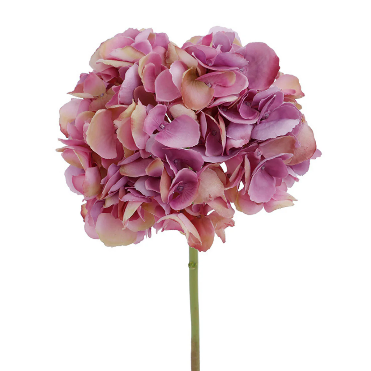 Tige d'Hortensia Premium 48cm - Image 13