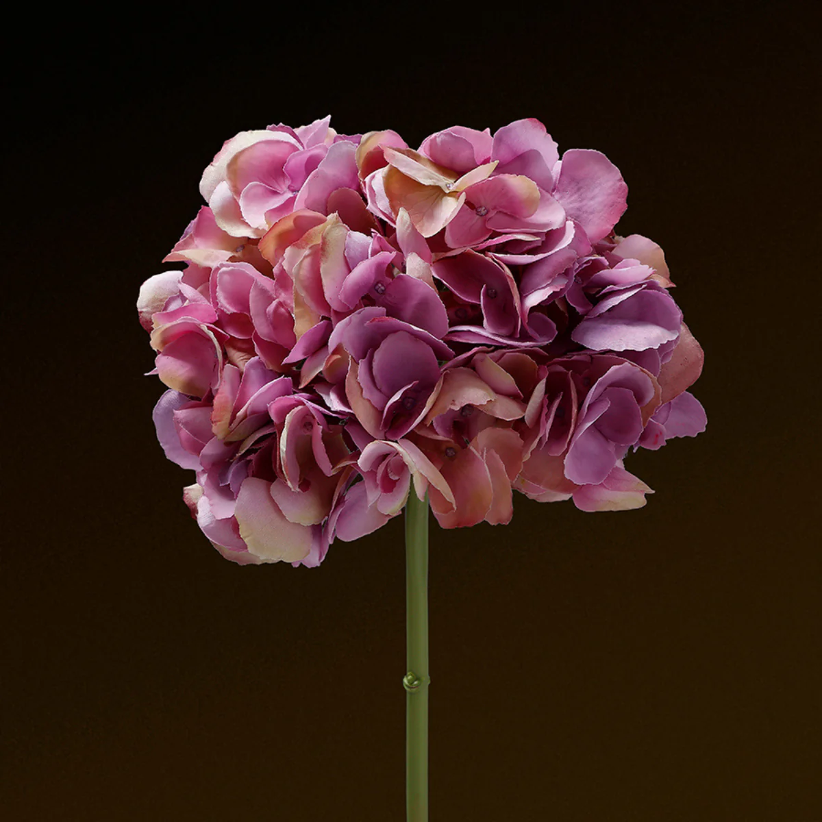 Tige d'Hortensia Premium 48cm - Image 14