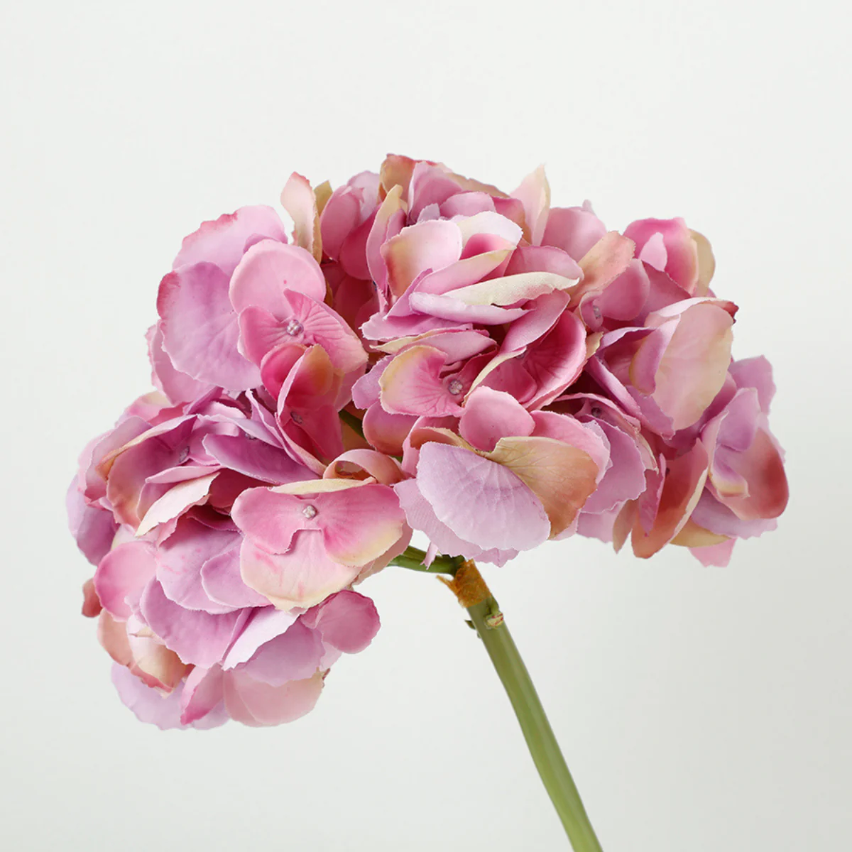 Tige d'Hortensia Premium 48cm - Image 15