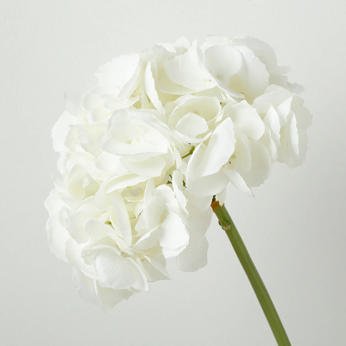 Tige d'Hortensia Premium 48cm - Image 3