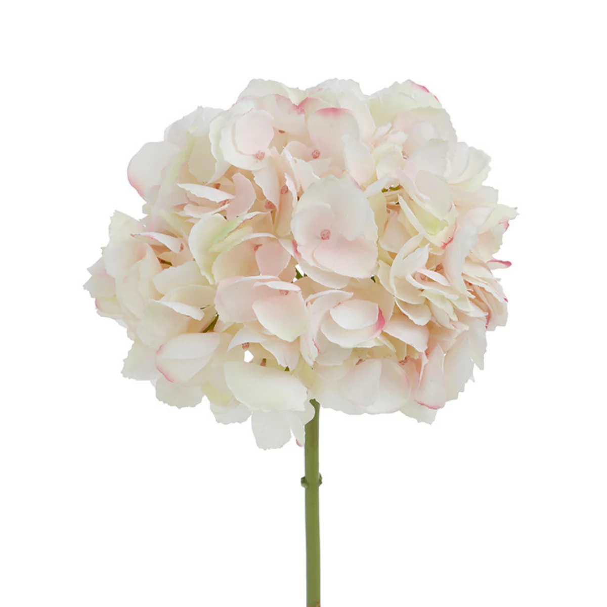 Tige d'Hortensia Premium 48cm - Image 4