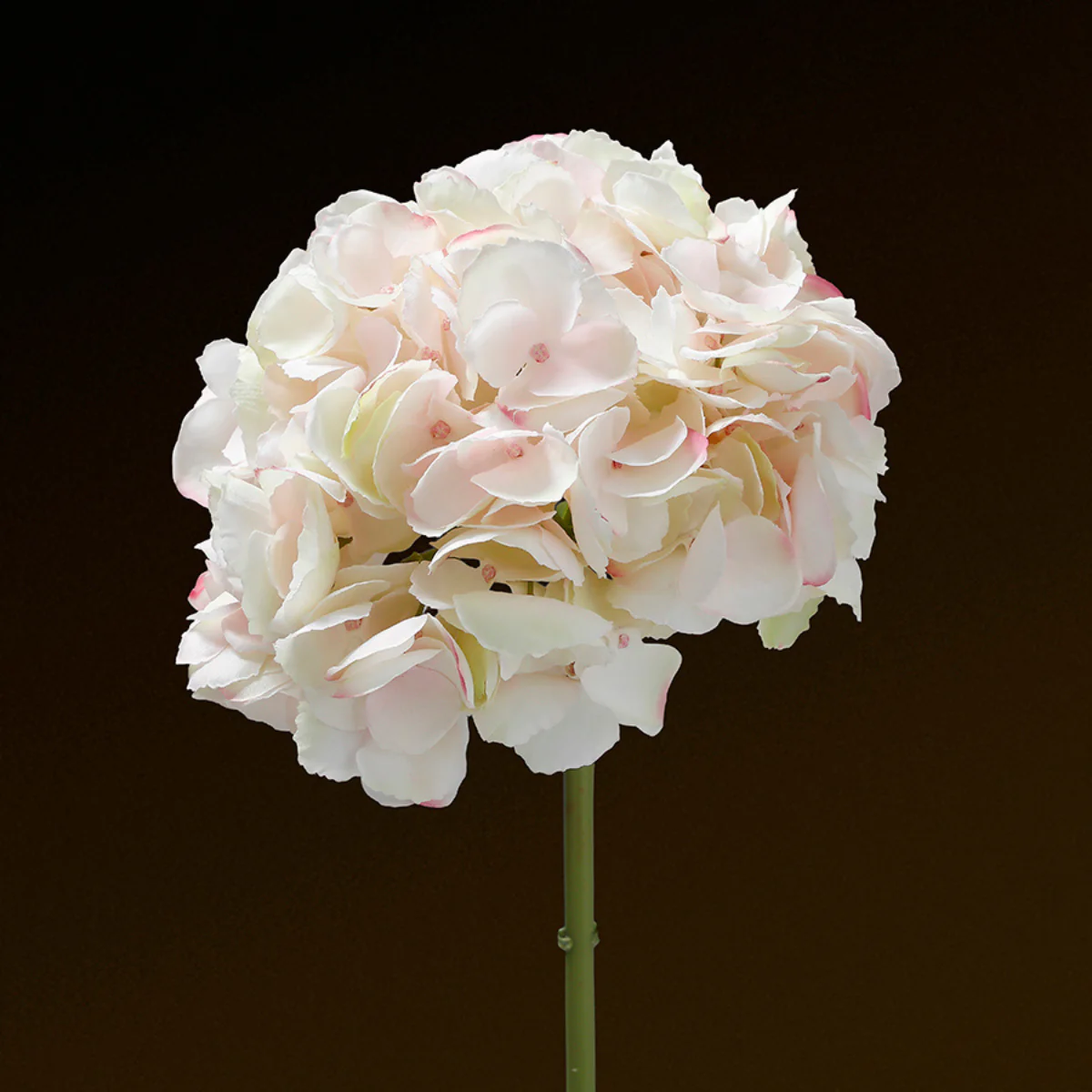 Tige d'Hortensia Premium 48cm - Image 5