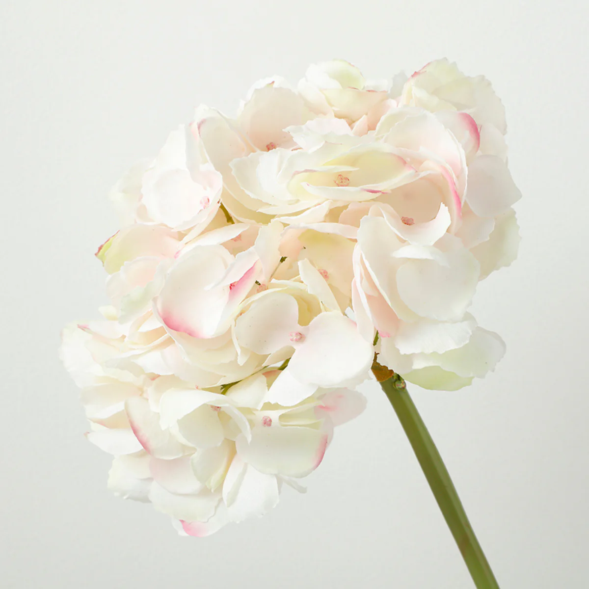 Tige d'Hortensia Premium 48cm - Image 6