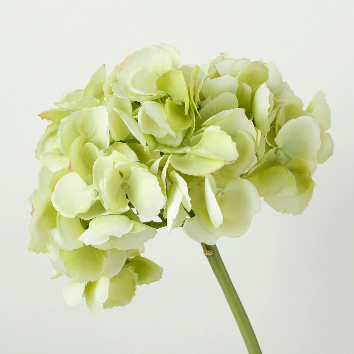 Tige d'Hortensia Premium 48cm - Image 9