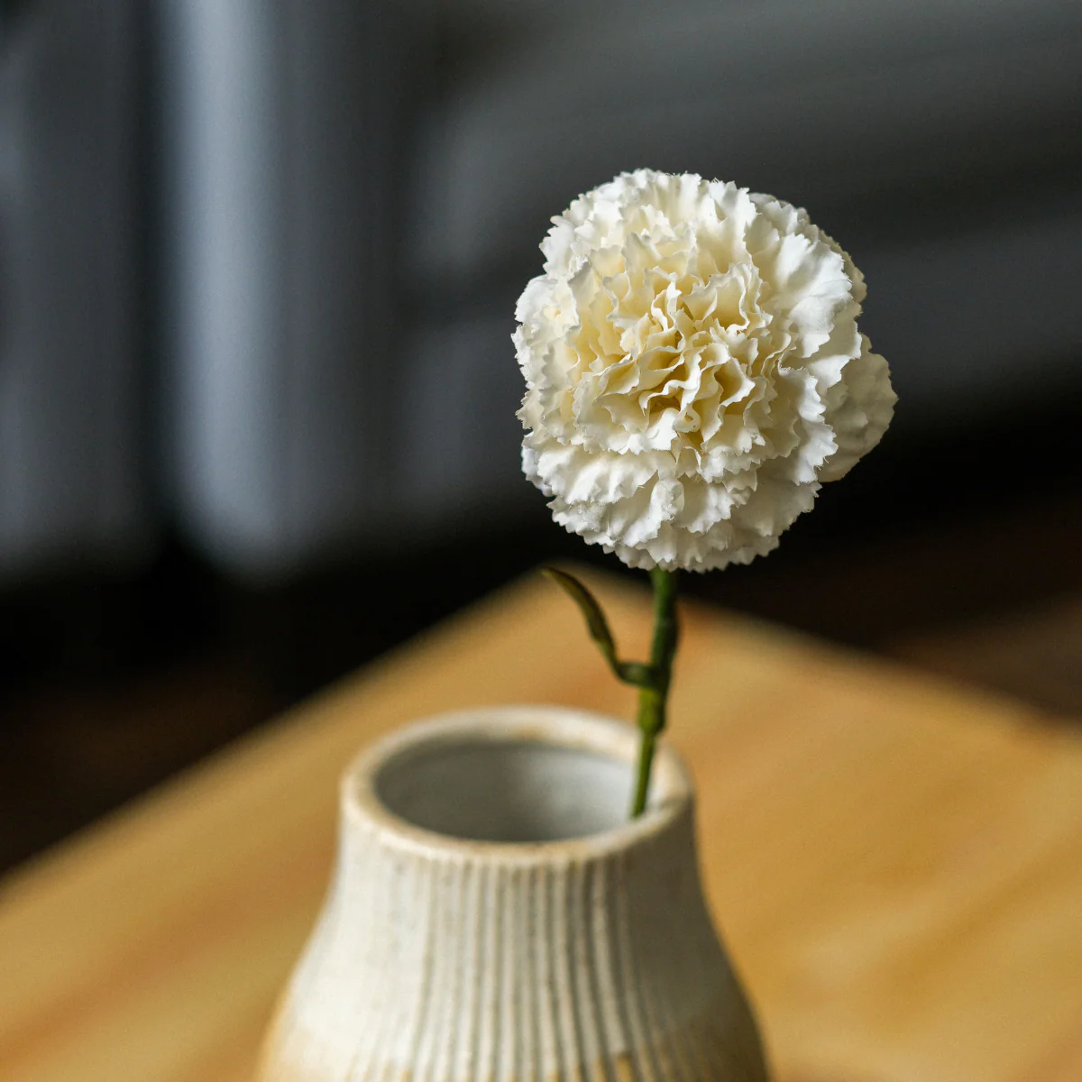 Tige d'Oeillet - Image 5
