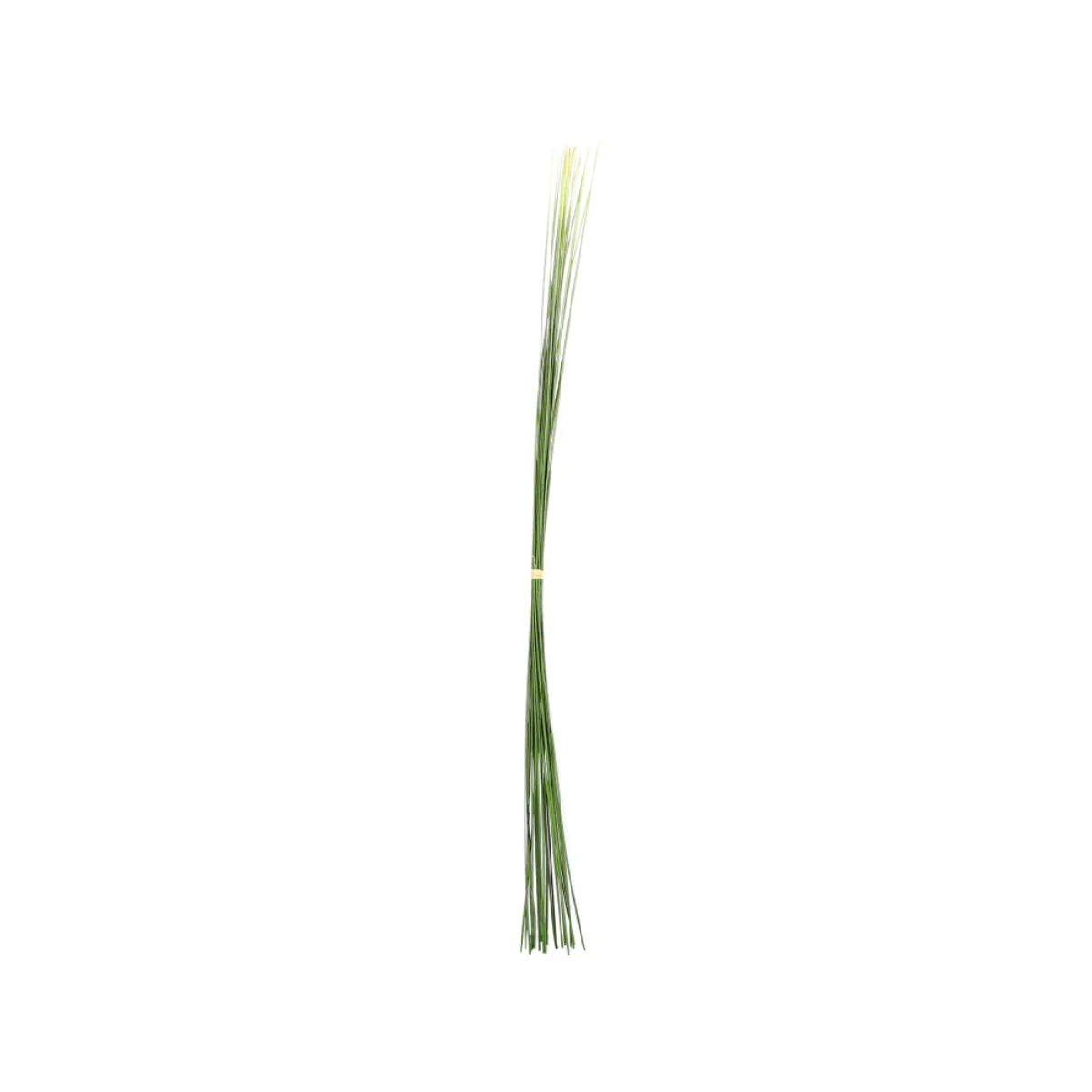Touffe d'Herbes