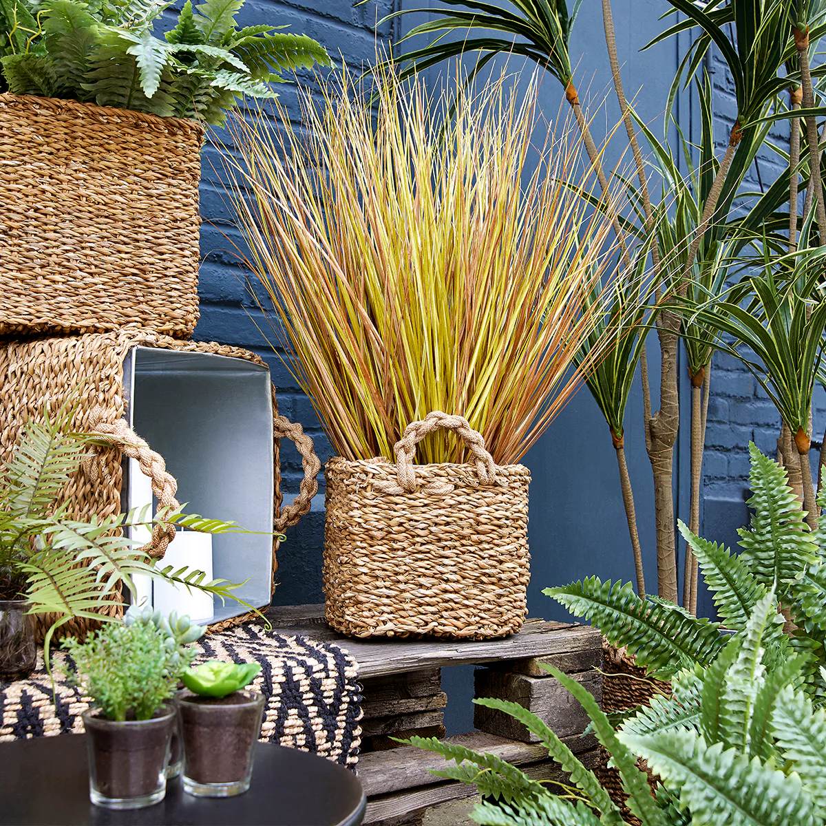 Touffe d'Herbes - Image 3