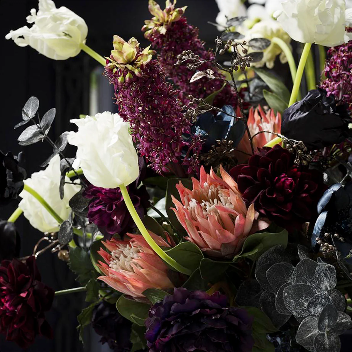Tige de Tulipe Double Nina - Image 6