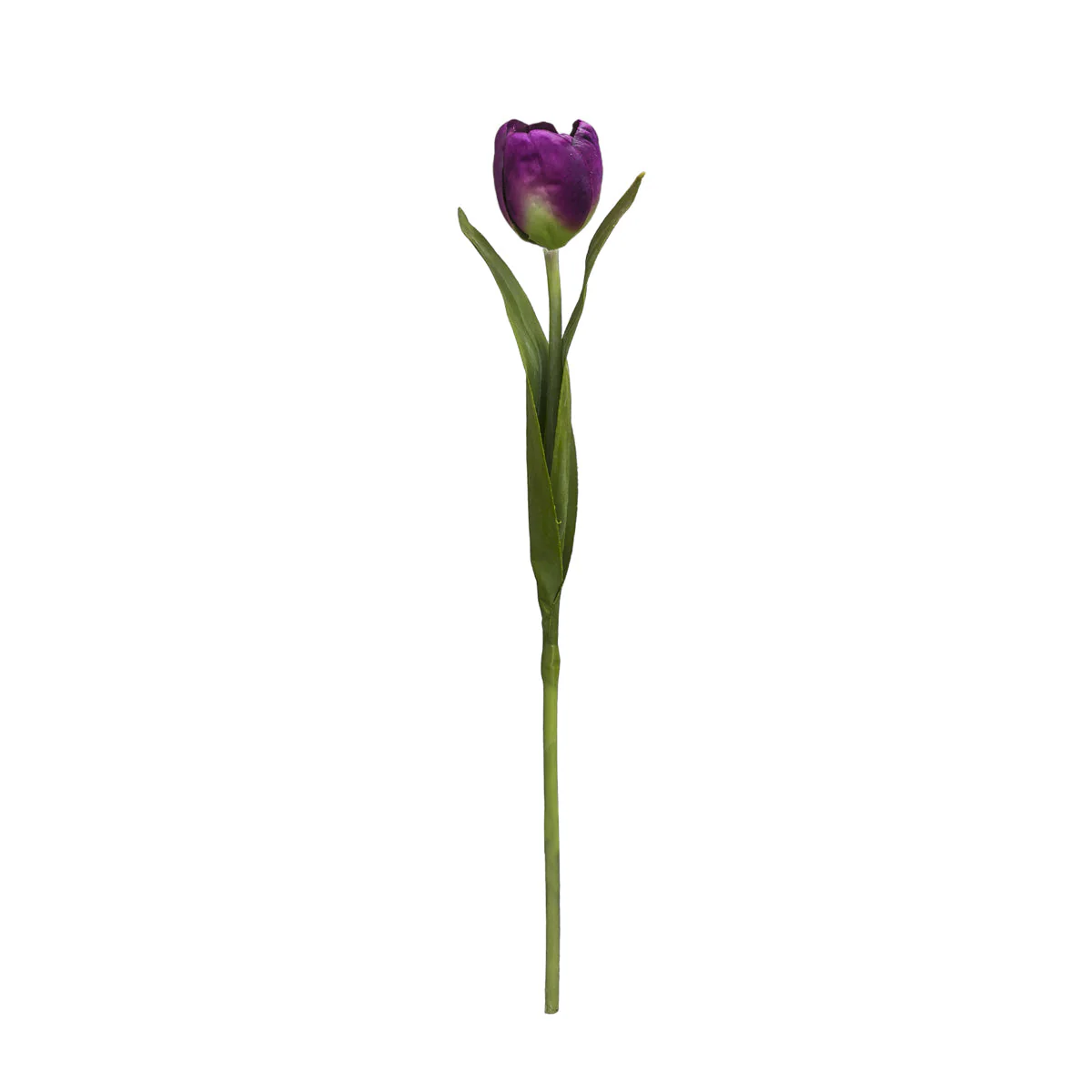 Tige de Tulipe Emilia - Image 5