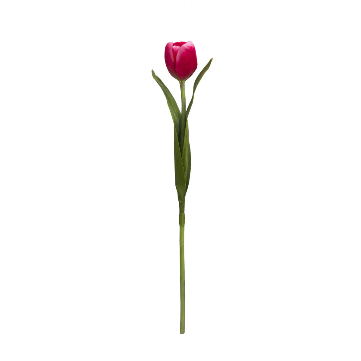 Tige de Tulipe Emilia - Image 9