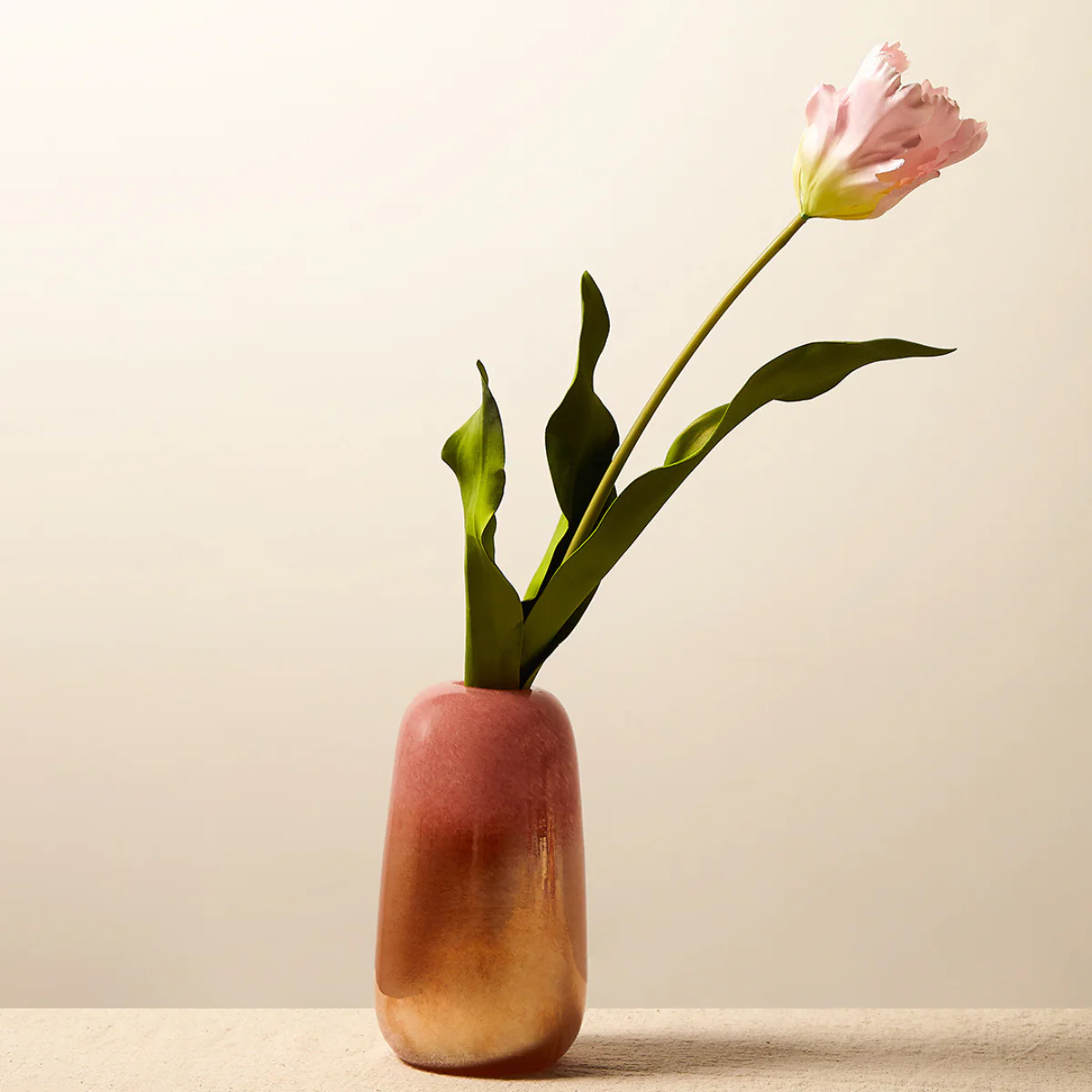 Tige de Tulipe Perroquet - Image 2