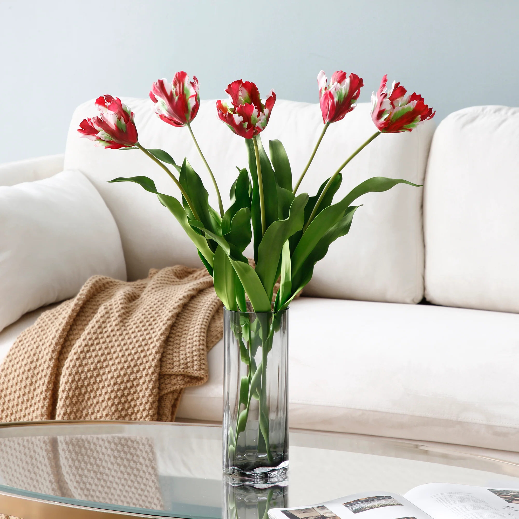 Tige de Tulipe Perroquet - Image 8