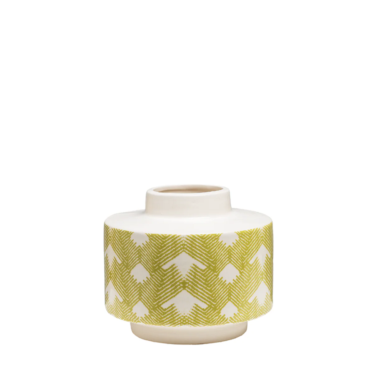 Vase Fern
