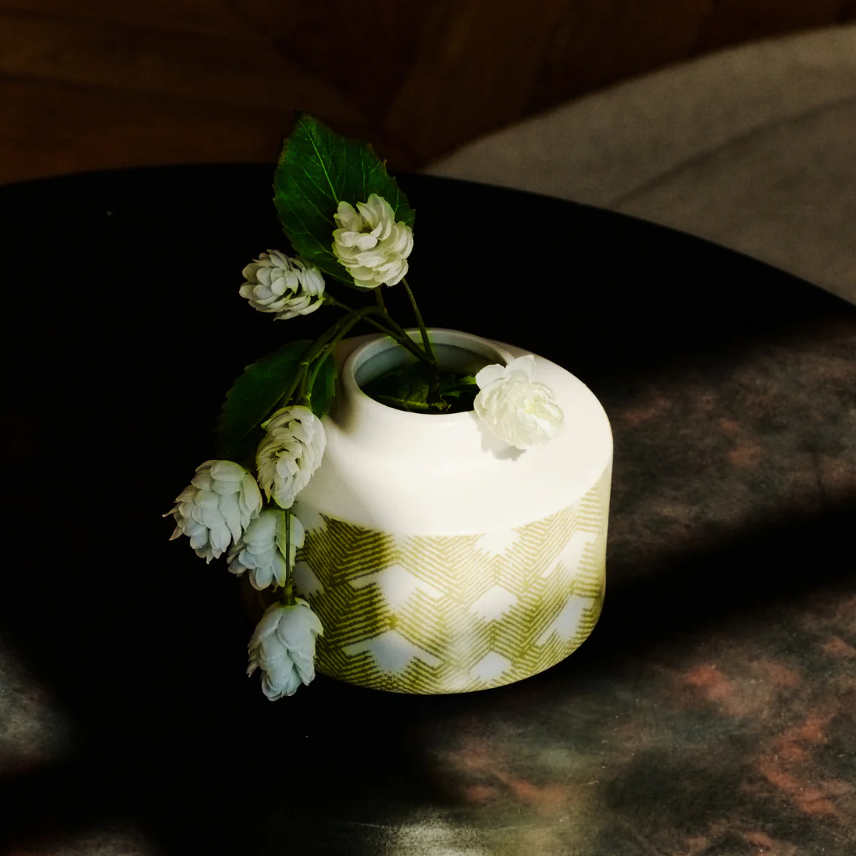 Vase Fern - Image 2